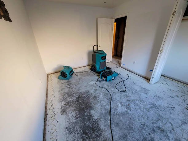 Best Carpet water damage restoration  in Winsted, MN