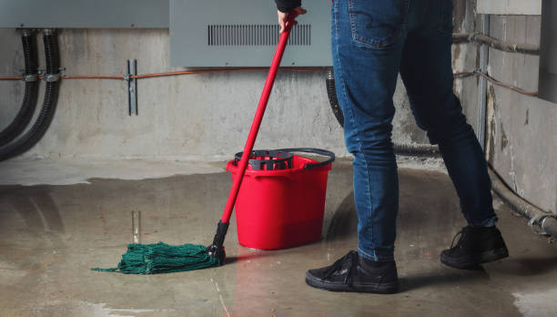 Best Flood damage cleanup  in Winsted, MN