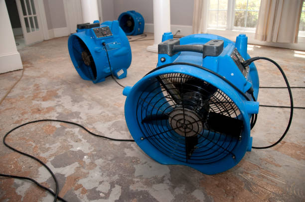 Best Water damage restoration experts  in Winsted, MN