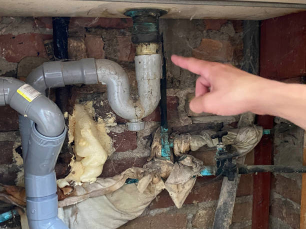 Best Water damage contractors near me  in Winsted, MN